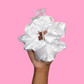 XL Braid Scrunchie