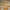 gold clips